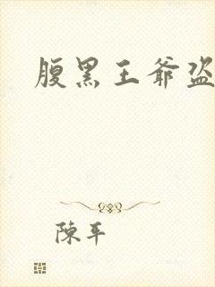 腹黑王爷盗墓妃