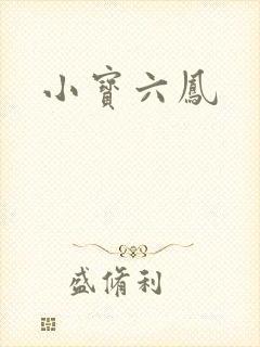 小宝六凤