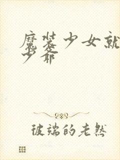 魔装少女就是本少爷