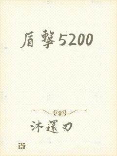 盾击5200