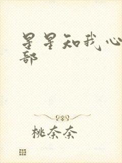 星星知我心第二部