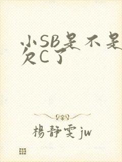 小SB是不是又欠C了