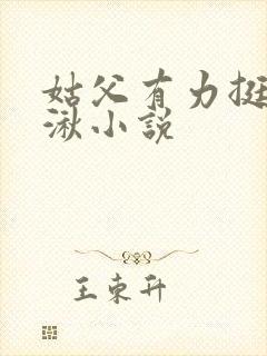 姑父有力挺送徐湫小说