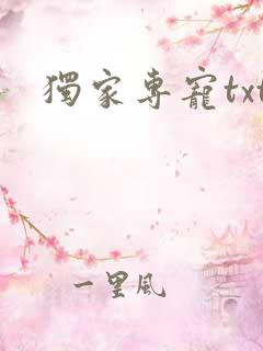独家专宠txt