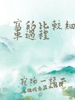 写的比较细的开车过程