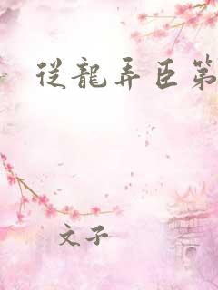 从龙弄臣第一次