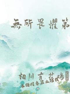 无所畏惧第二部