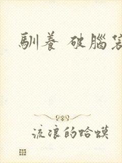 驯养 破脑袋