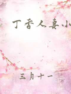 丁香人妻小说