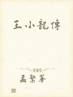 王小龙传