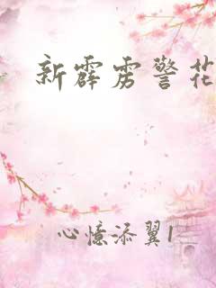 新霹雳警花