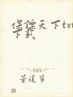 保镖天下txt下载