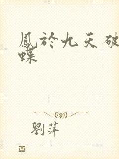 凤于九天破茧成蝶
