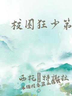 校园狂少第二部
