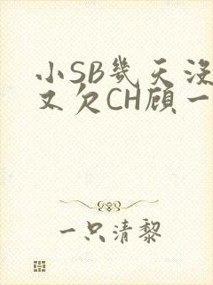 小SB几天没做又欠CH顾一成