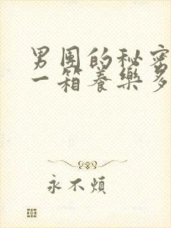 男团的秘密BY一箱养乐多小说