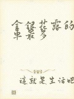 金银花露的哪个车最多