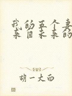 我的五个妻子和来自未来的孩子