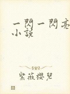 一闪一闪亮晶晶小说