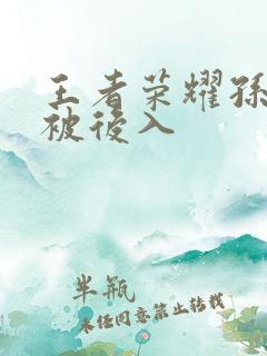 王者荣耀孙尚香被后入