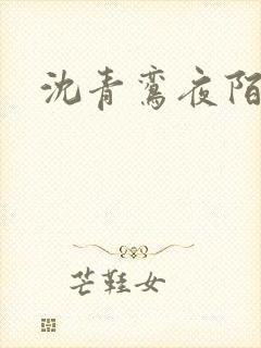沈青鸾夜陌凌