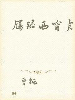 雁归西窗月小说