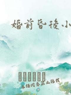 婚前昏后小说