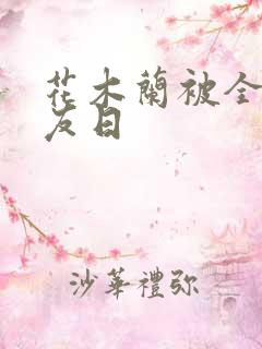 花木兰被全队队友日