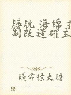 膀胱 海绵 控制改造确立m