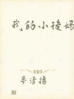 我的小后妈小说