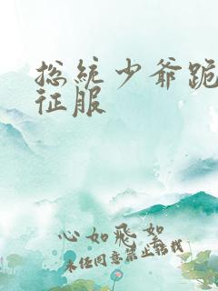 总统少爷跪地唱征服