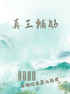 真王辅助