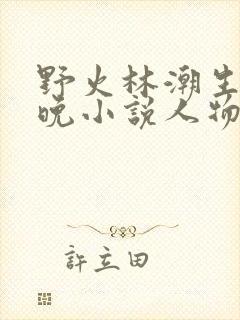 野火林潮生林晚晚小说人物野火