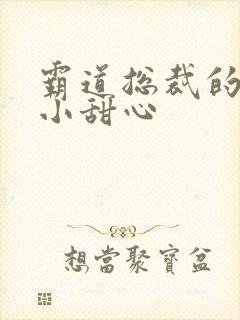 霸道总裁的宠爱小甜心