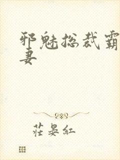 邪魅总裁霸占新妻