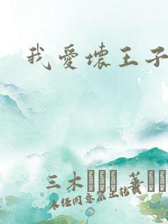 我爱坏王子