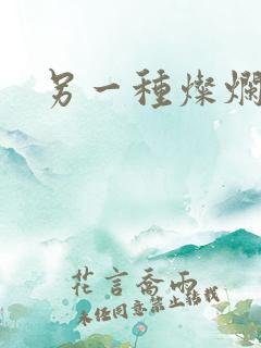 另一种灿烂生活