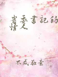 省委书记的秘密情人