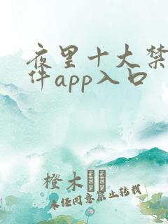 夜里十大禁用软件app入口