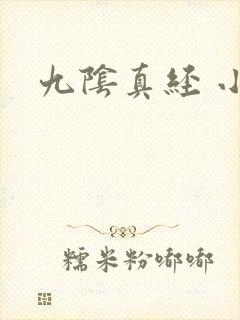 九阴真经 小说
