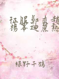 征服郑爽赵丽颖杨幂迪丽热巴