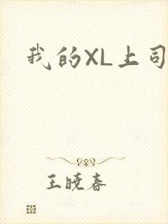 我的XL上司