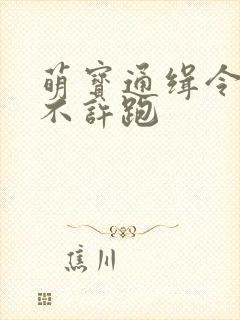 萌宝通缉令妈味不许跑