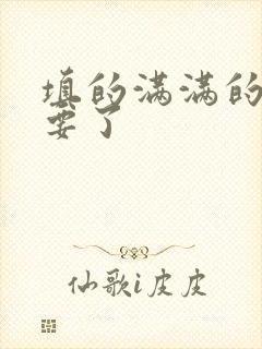 填的满满的 不要了