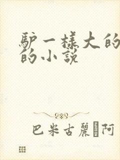 驴一样大的凶器的小说