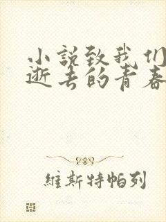 小说致我们终将逝去的青春