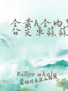 全黄h全肉禁乱公交车苏苏