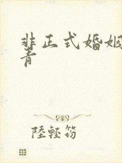 非正式婚姻雾里青