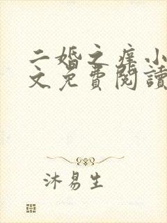 二婚之痒小说全文免费阅读