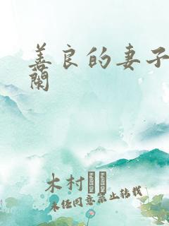 善良的妻子王晓兰